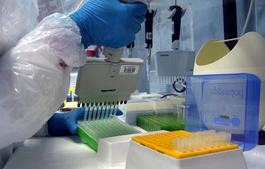 Ученые выделили вариации генов иммунной системы, защищающие европейцев от гриппа
<p>