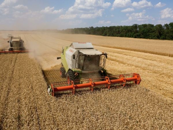 Цены на пшеницу бьют рекорды на европейском рынке