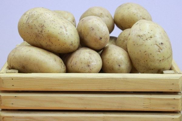 Названа причина парадоксального роста цен на картофель