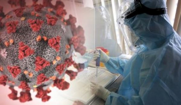 В Роспотребнадзоре опровергли обнаружение в России африканского штамма коронавируса