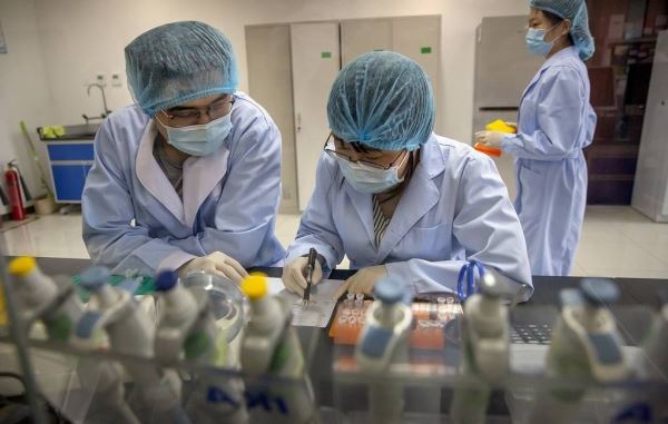 В Китае открыли моноклональное антитело, нейтрализующее все штаммы коронавируса
<p>