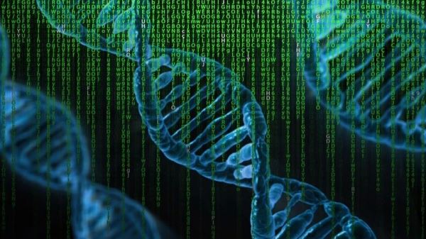 <br />
						Microsoft может сделать хранение информации в ДНК реальностью<br />
					