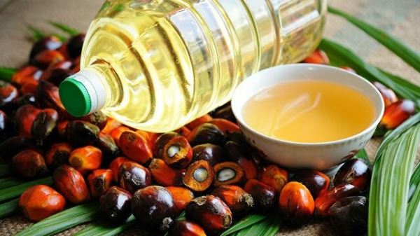 Росстат зафиксировал рост импорта пальмового масла